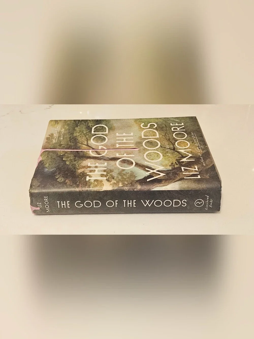bestseller liz moore